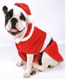 Disfraz para perros Papa Noel